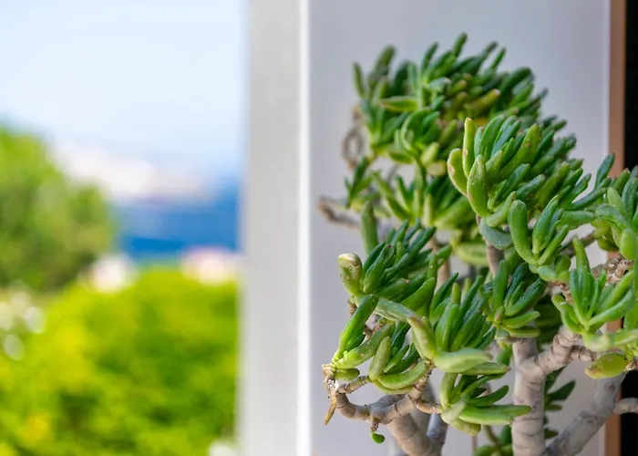 Appartement Marenosta